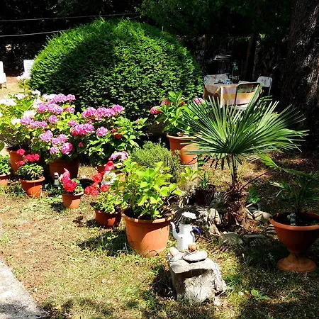 Angela Apartment
